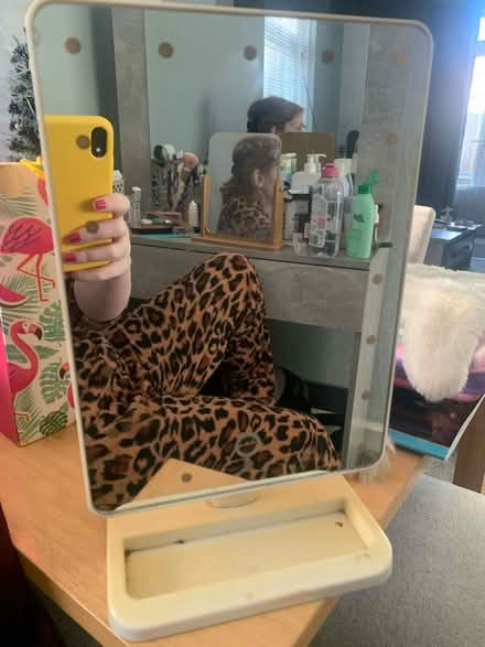 Photo of free Mirror with lights (BR1 (Downham)) #1