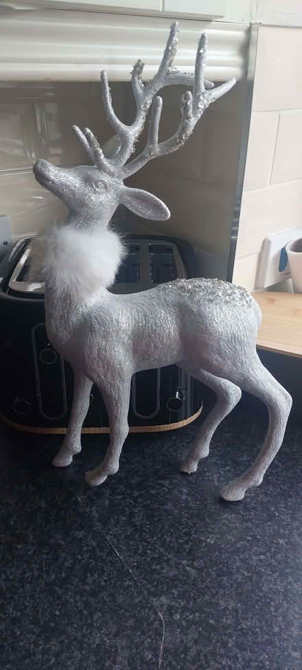 Photo of free Christmas reindeer (BT15) #2