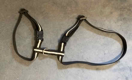 Photo of free small pet harness (Fremont-Sundale/28 Palms) #1