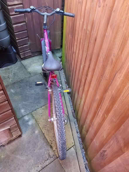 Photo of free Girl's bike (Hereford, Belmont) #1