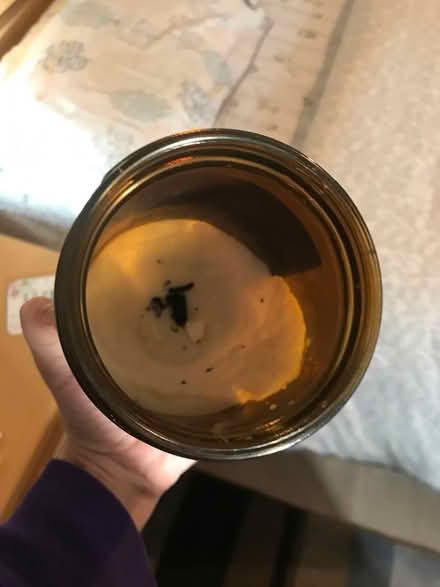Photo of free Used candle (KT3 new malden) #1