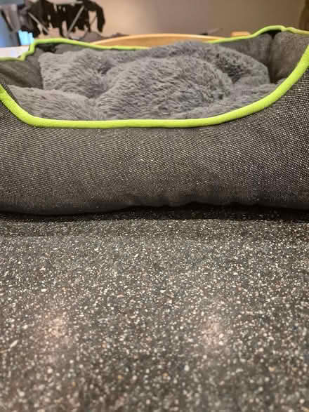 Photo of free Cat bed & litter tray (Yeadon LS19) #3