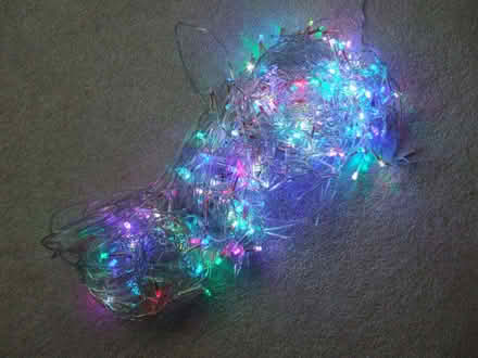 Photo of free Outdoor Christmas lights - 10m (Jennyfield HG3) #1