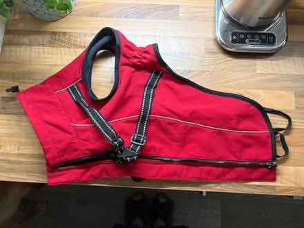 Photo of free Dog coats (Bishops Tachbrook CV33) #2
