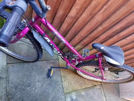 Photo of free Girl's bike (Hereford, Belmont) #4