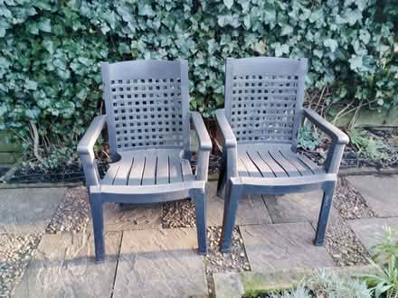 Photo of free Chairs (Honley HD9) #2