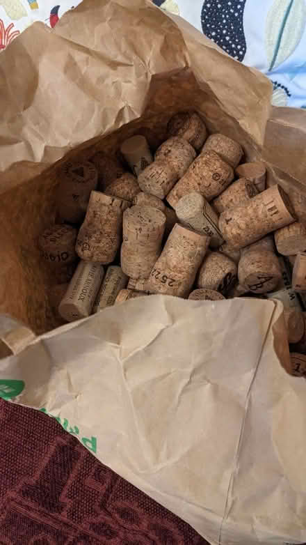 Photo of free Bag of corks (Finchampstead RG40) #1