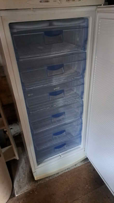 Photo of free Tall freezer (Weybridge) #2