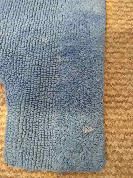 Photo of free Blue Toilet Pedestal Rug (Norwich (5 miles)) #3