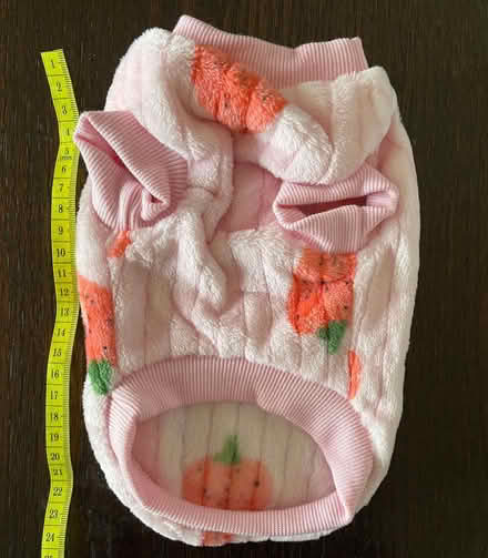 Photo of free Warm coat for very small dog (Old Malden KT4) #1