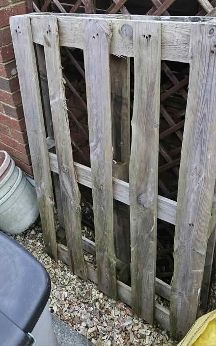 Photo of free Wooden pallet 80x120cm (honiton EX14) #1
