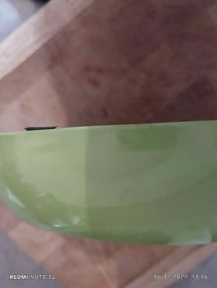 Photo of free Green cat/small dog bowls (Manor Park S2) #2