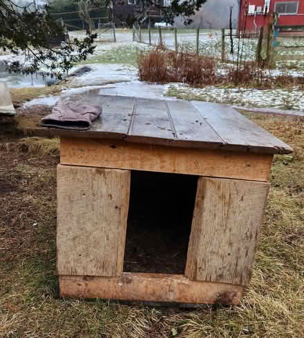 Photo of free Dog House (High Falls) #1