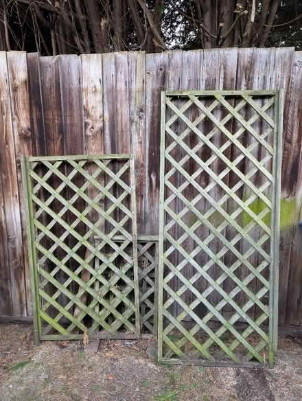 Photo of free 2x wooden lattice trellis sections (North Herts SG4) #1