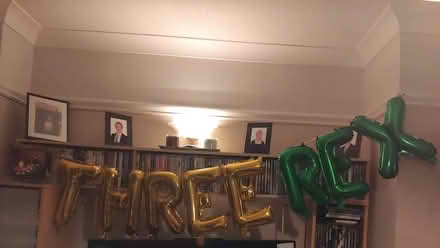 Photo of free Dinosaur balloons for a 3rd birthday (Yaxley) #1