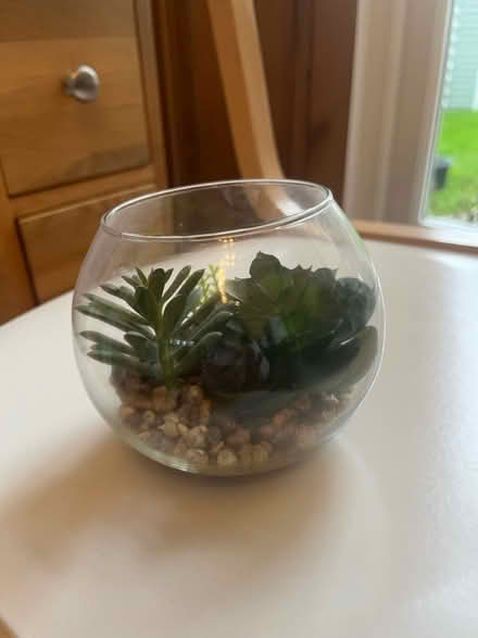 Photo of free Artificial Plant (E18) #1