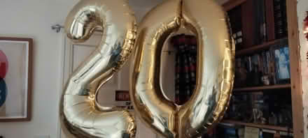 Photo of free Giant balloon numbers 2 & 0 (Bicton Heath SY3) #1