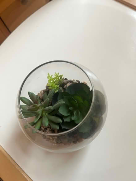 Photo of free Artificial Plant (E18) #2