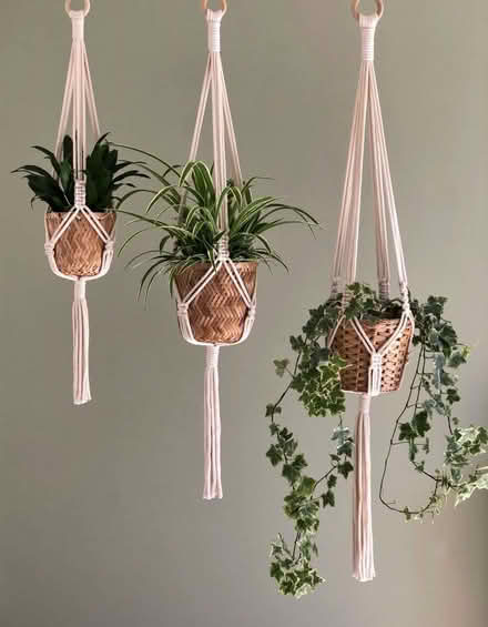 Photo of free Macrame Plant Hangers (Queenstown Road SW11) #2