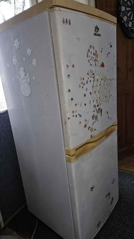 Photo of Fridge freezer (Watford WD24) #1