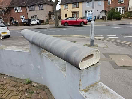 Photo of free Lino (Beacontree Heath RM8) #1