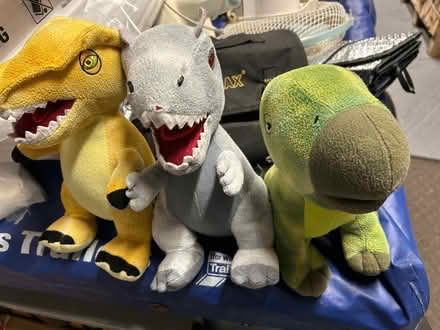 Photo of free Dinosaurs (Upton CH2) #2