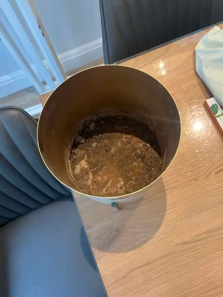 Photo of free Gold plant pot with stand (Tunbridge Wells TN2) #3