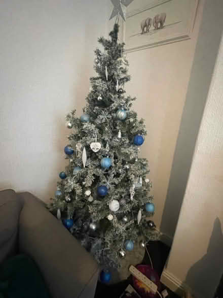 Photo of free Flocked Christmas tree (OL6, Ashton-under-lyne) #1