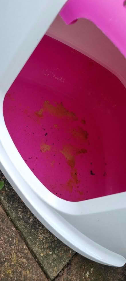 Photo of free Cat litter tray (N7 Holloway/Kentish Town) #3