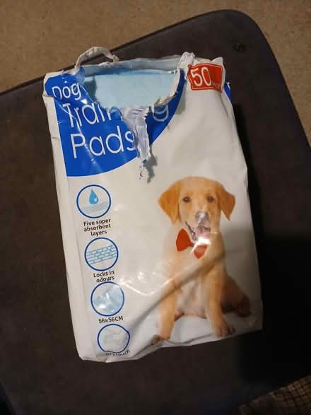 Photo of free Puppy pads (Carlisle) #1