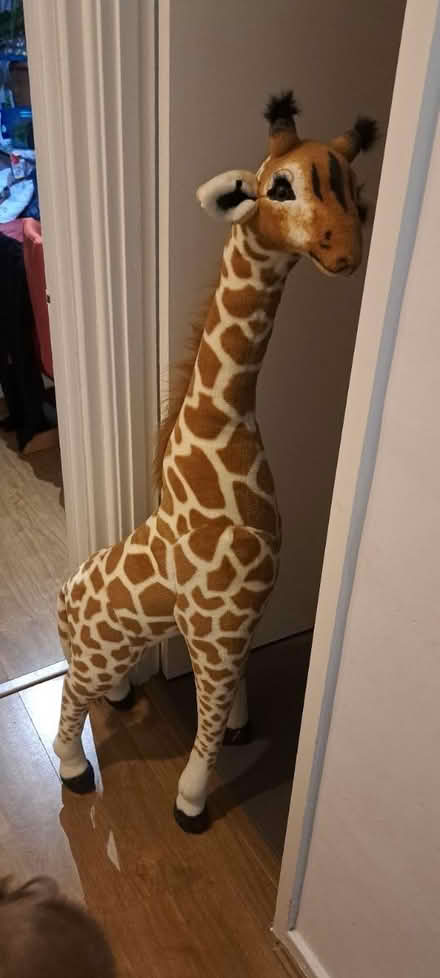 Photo of free Giant giraffe (N22 Haringay) #1
