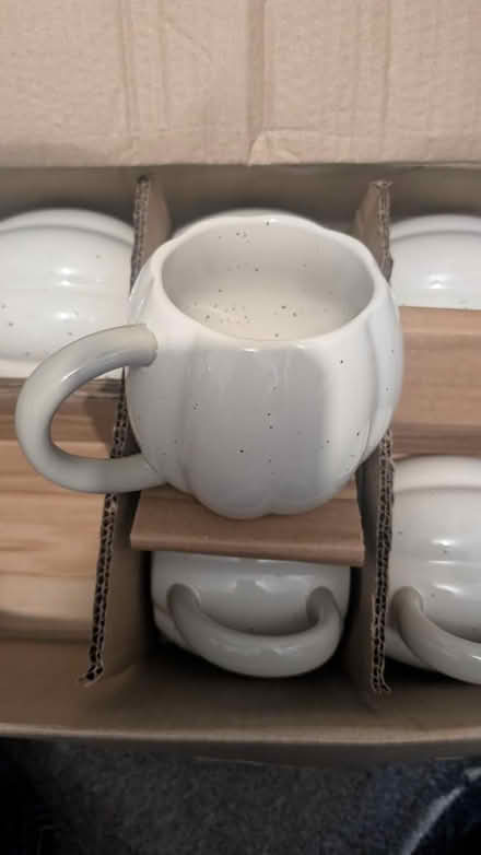 Photo of free 6 pumpkin mugs (Haverhill) #1