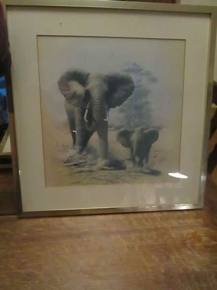 Photo of free Two elephants picture (Barnoldswick BB18) #1