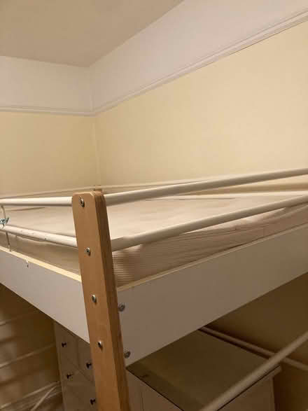 Photo of free Loft/bunk bed (Central Seattle) #1