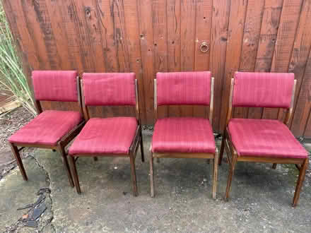 Photo of free 4 dining chairs (Herefordshire) #1