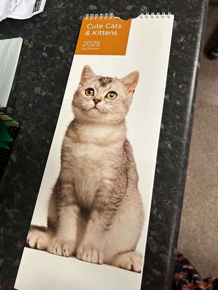 Photo of free 2025 calendar (Lydiard Millicent SN5) #1