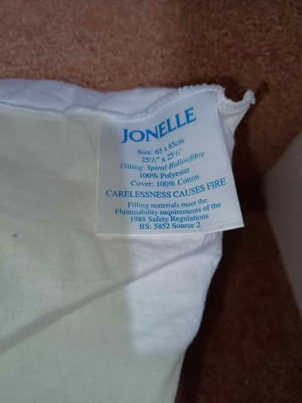 Photo of free 2 large cushion pads (Wavertree, L15) #1