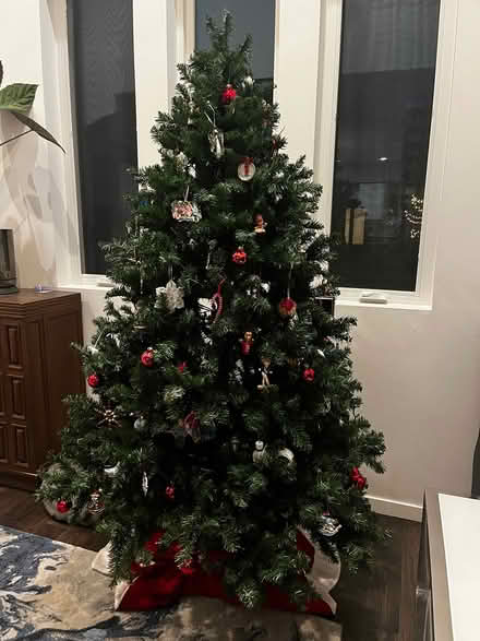 Photo of free fake Christmas Tree (South Longmont, Prospect) #1