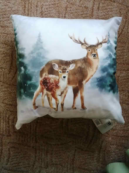 Photo of free Large deer-print cushion (Spofforth HG3) #1