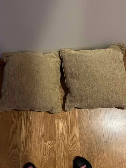 Photo of free Two pillows (Near Busse and Golf) #2