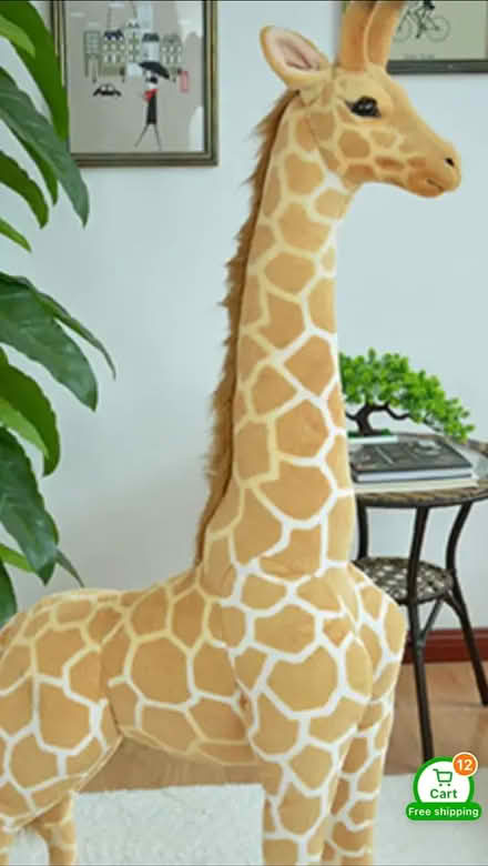 Photo of Tall giraffes (Headington) #1