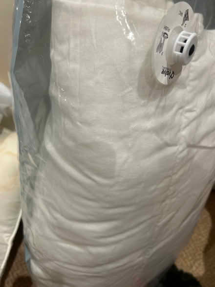 Photo of free Single duvet (Droitwich WR98) #1