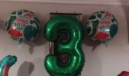Photo of free Dinosaur balloons for a 3rd birthday (Yaxley) #2