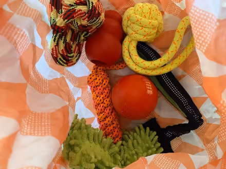 Photo of free Variety of dog toys (Great Bourton, OX17) #1