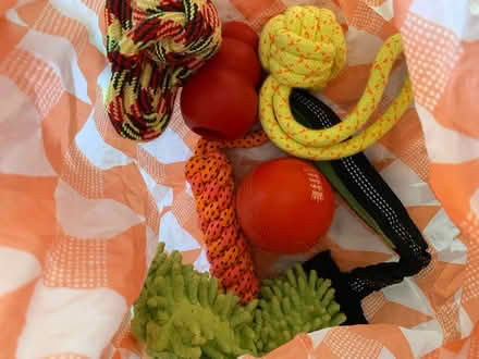 Photo of free Variety of dog toys (Great Bourton, OX17) #1