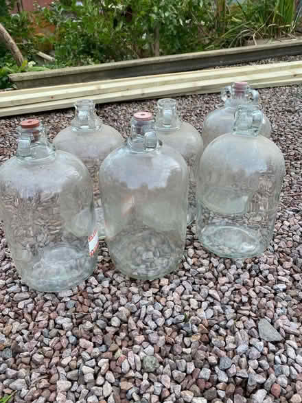 Photo of free 6 demijohns (Herefordshire) #1