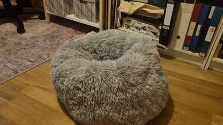 Photo of free Cat bed (N7 Holloway/Kentish Town) #2