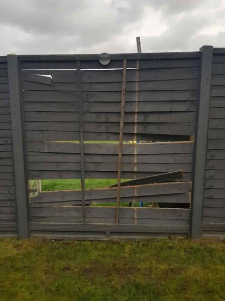 Photo of free X2 fence panels 6ft by 6ft (Stevenage SG2) #1