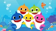 Photo of Baby shark (Felling NE10) #1