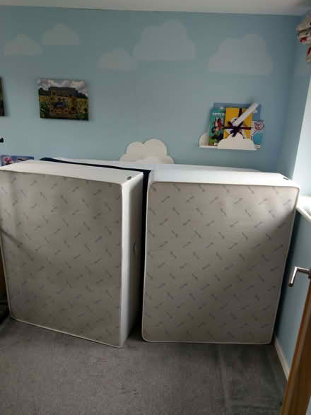 Photo of free Standard double divan bed (Franklands Village RH16) #1